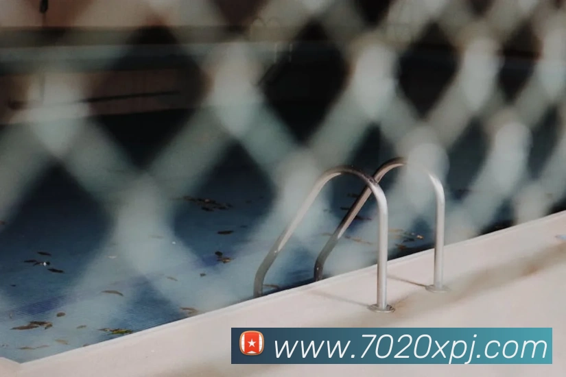 新葡京娱乐城官网平台生态图